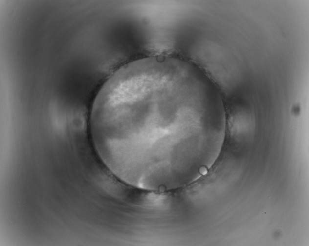 X0000103950570200809191443