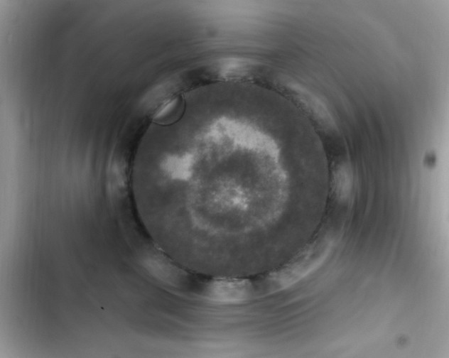 X0000103950571200809191443