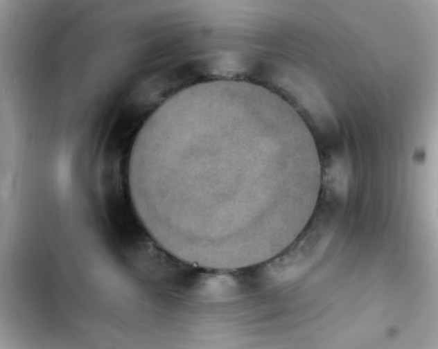 X0000103950572200809191443