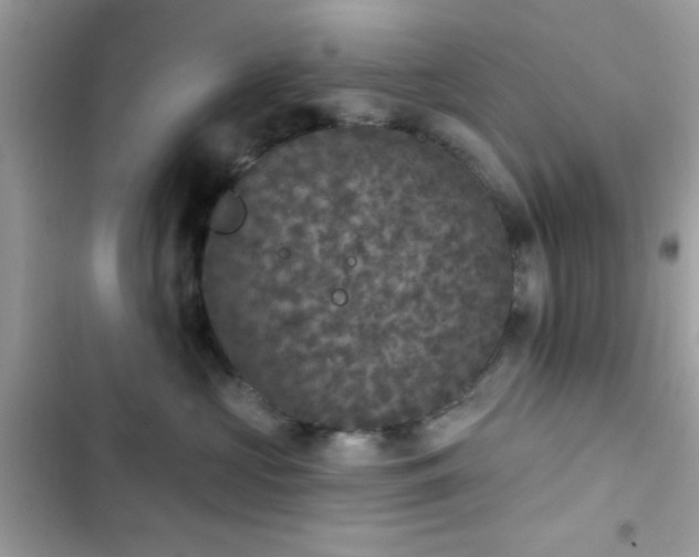 X0000103950573200809191443