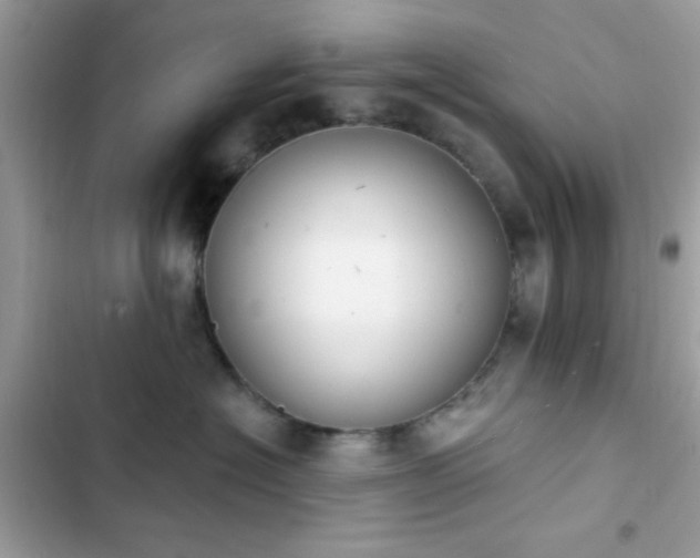 X0000103950574200809191444