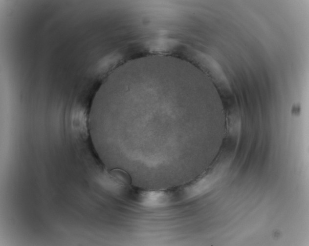 X0000103950575200809191444