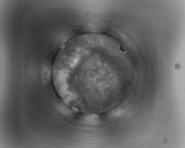 X0000103950576200809191444