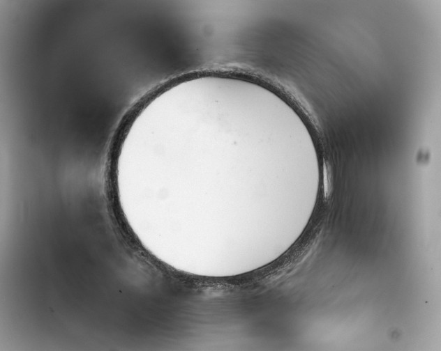 X0000103950579200809191443