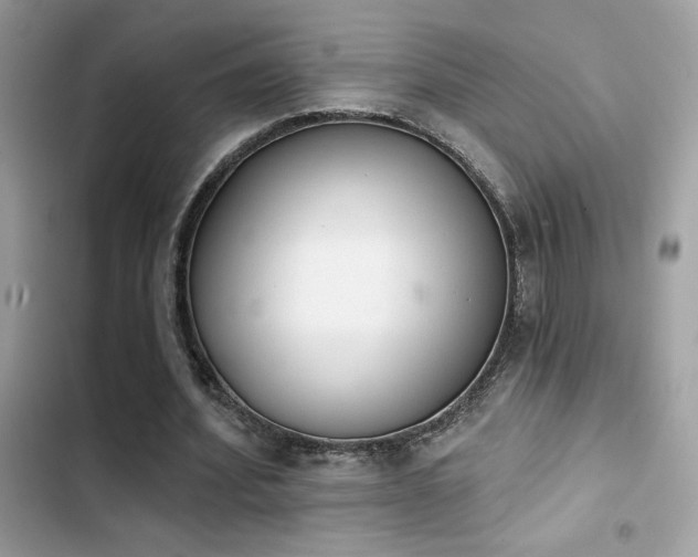X0000103950580200809191443