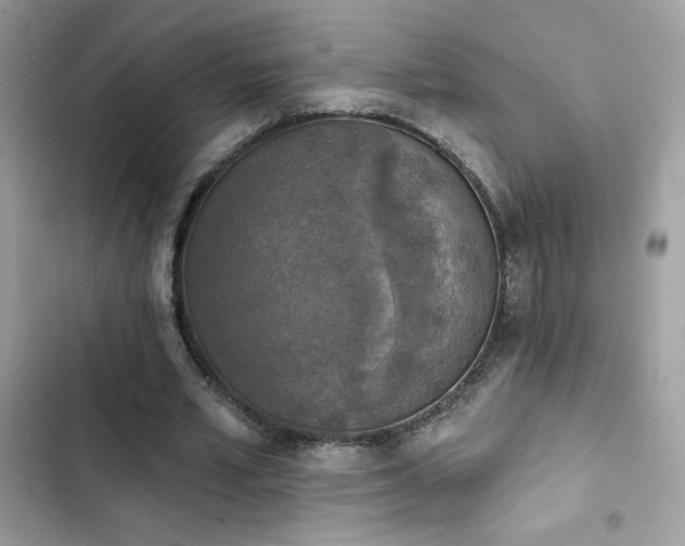 X0000103950581200809191443