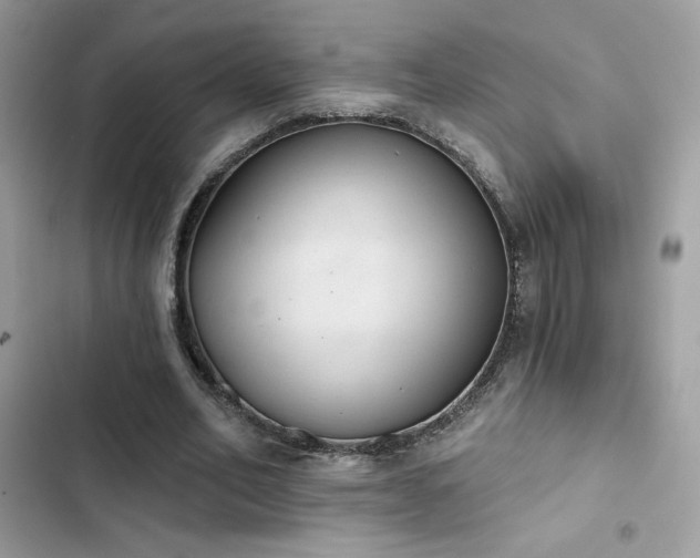 X0000103950582200809191443
