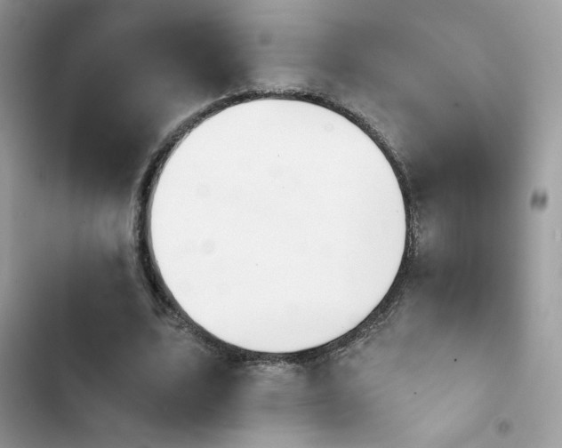 X0000103950583200809191443