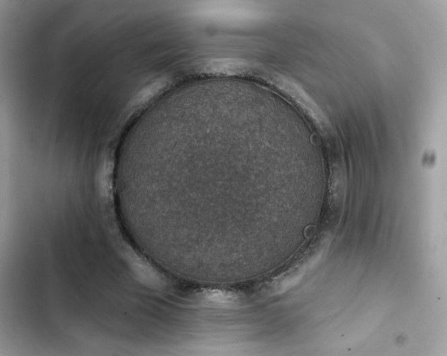 X0000103950585200809191443