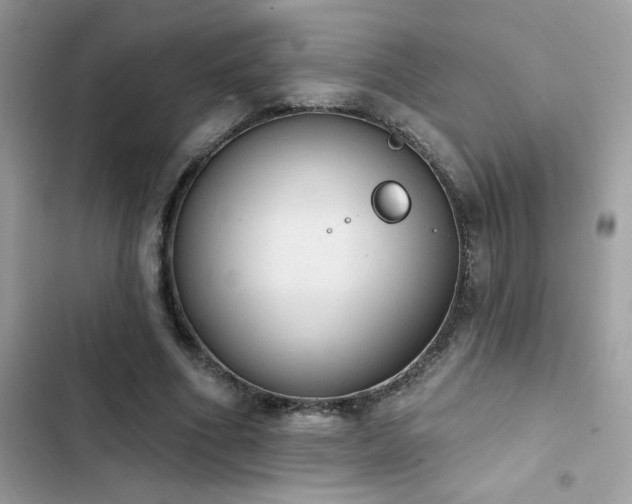 X0000103950586200809191443