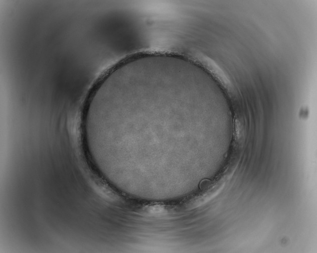 X0000103950588200809191443