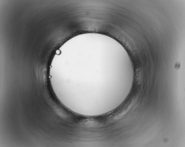 X0000103950589200809191443