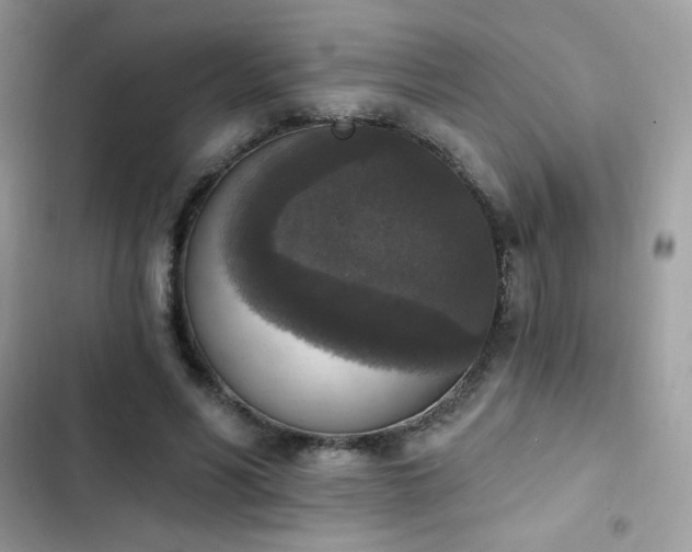 X0000103950590200809191443