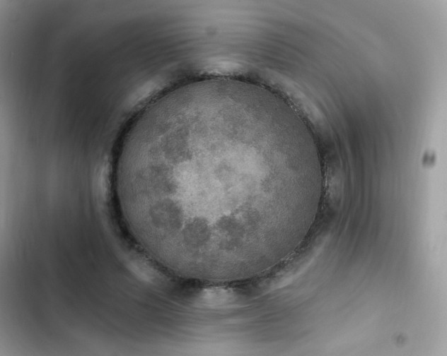 X0000103950591200809191443