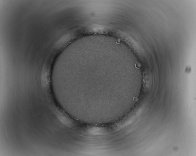 X0000103950593200809191443