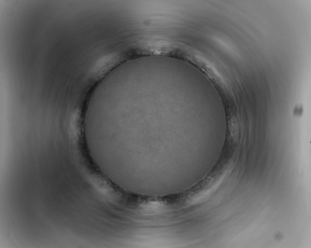 X0000103950594200809191443