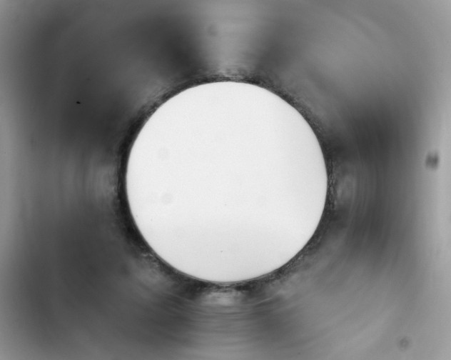 X0000103950595200809191443