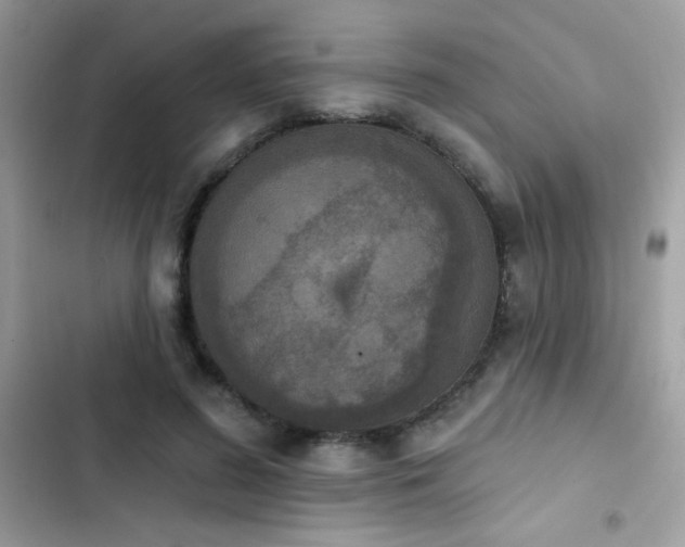 X0000103950596200809191443