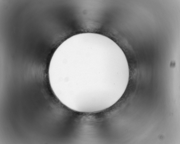 X0000103950599200809191442