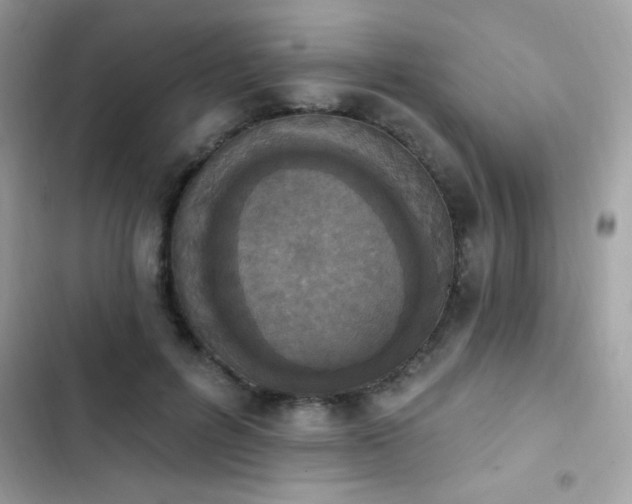 X0000103950600200809191442