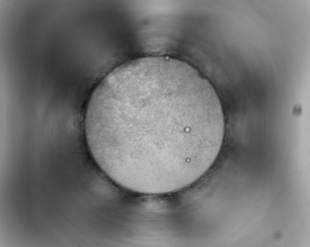 X0000103950601200809191442
