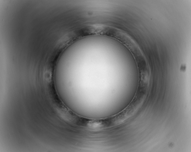 X0000103950602200809191442