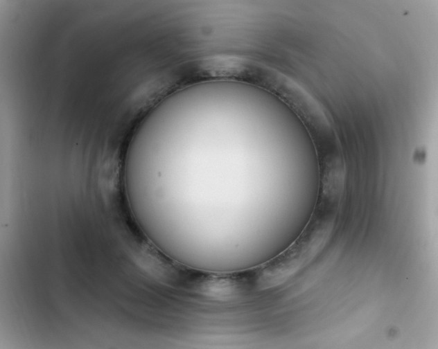 X0000103950604200809191442