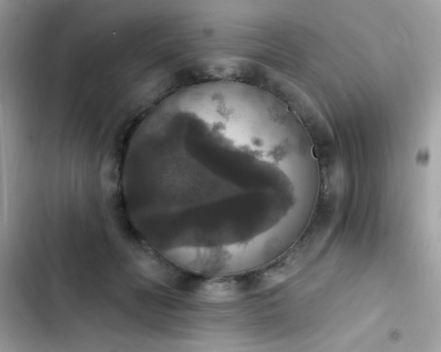 X0000103950606200809191442
