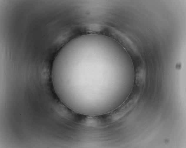 X0000103950608200809191442