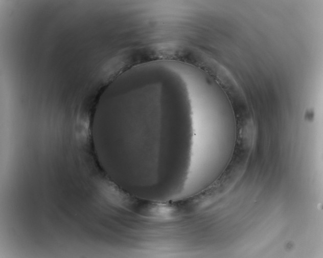 X0000103950610200809191442