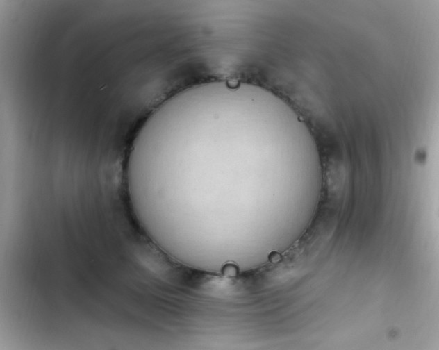 X0000103950611200809191442