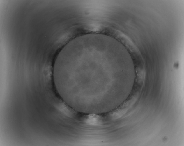 X0000103950612200809191442