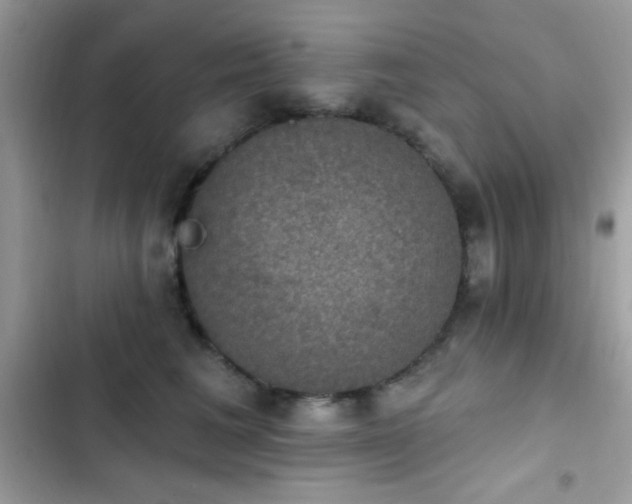 X0000103950613200809191442