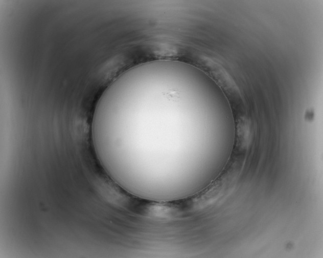 X0000103950614200809191442