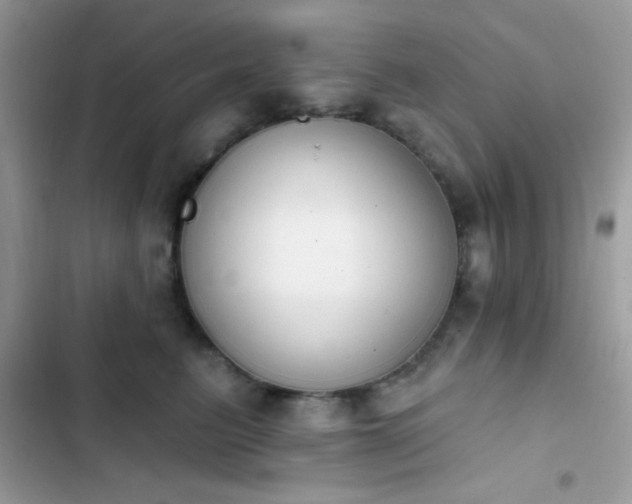 X0000103950615200809191442