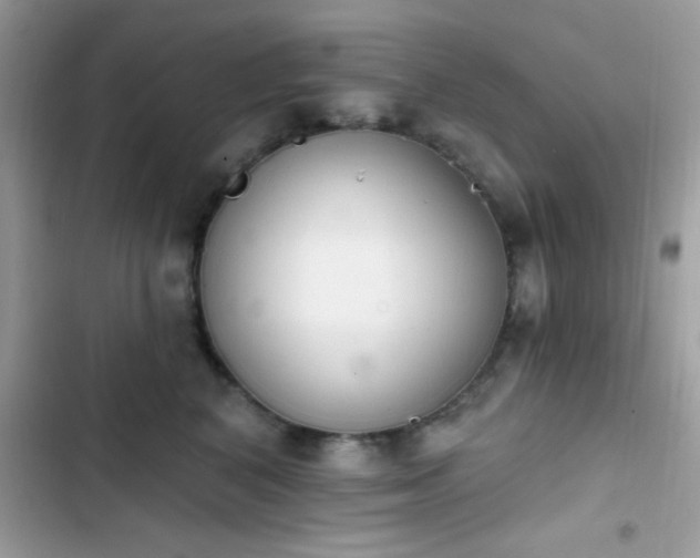 X0000103950616200809191442