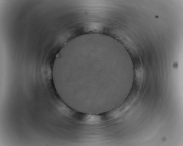 X0000103950617200809191442