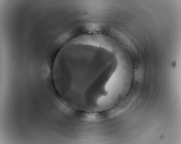 X0000103950618200809191442