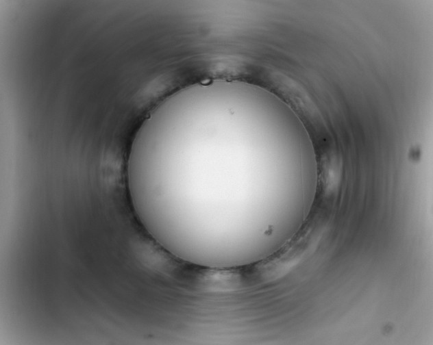 X0000103950619200809191442