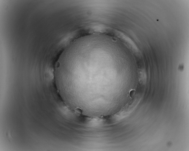 X0000103950621200809191442