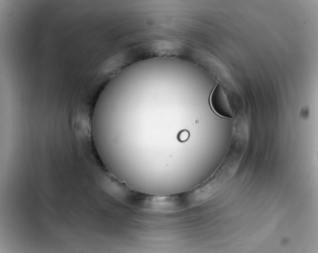 X0000103950622200809191442