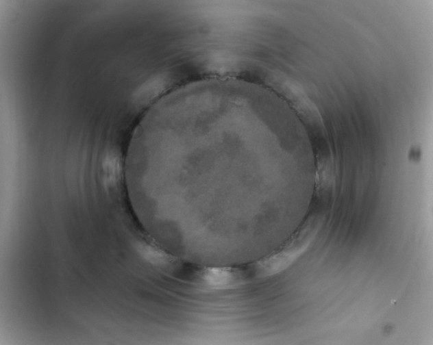 X0000103950623200809191442