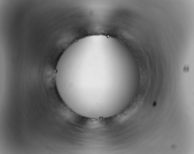 X0000103950624200809191442