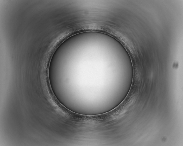 X0000103950625200809191441