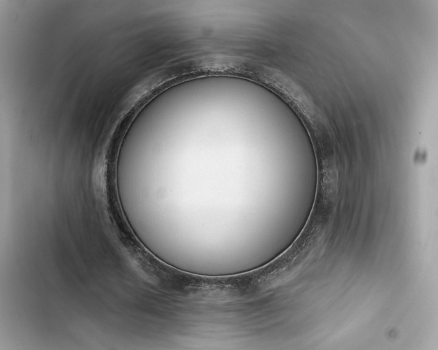 X0000103950626200809191441
