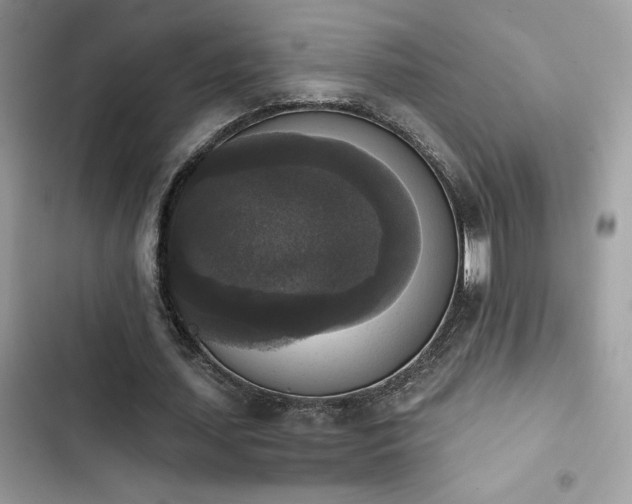 X0000103950627200809191441