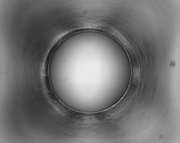 X0000103950628200809191442