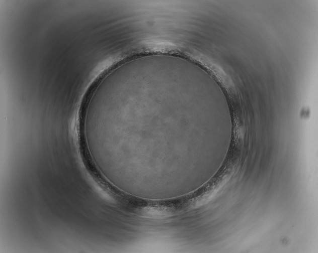 X0000103950630200809191442