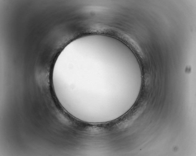 X0000103950633200809191442