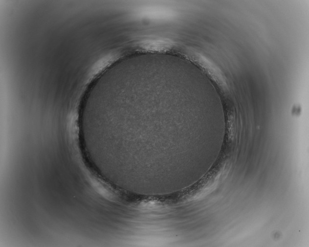 X0000103950634200809191442